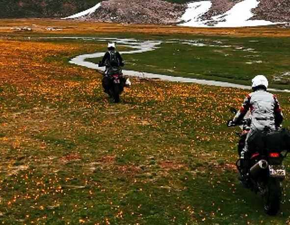 Endemik çiçekleri ezdiler