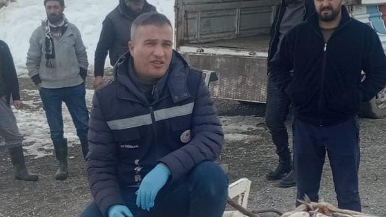 Endemik İnci Kefali, Erçek Gölü'nde avlanmaya devam ediyor