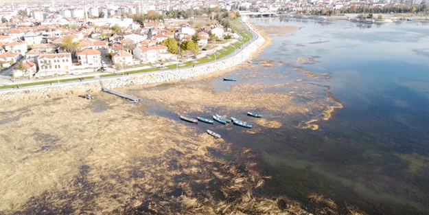 Endişelendiren görüntü! Bu hale geldi