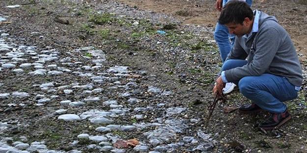 Endişelendiren görüntü: İlk kez bu sabah gördük
