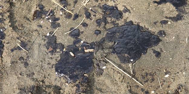 Endişelendiren görüntü! İnceleme başlatıldı