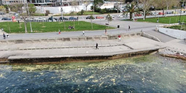 Endişelendiren görüntü! Müsilaj geri döndü