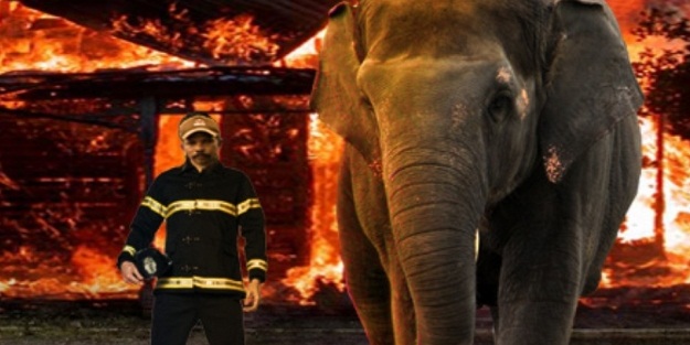 Endonezya'da filler itfaiyeci oldu