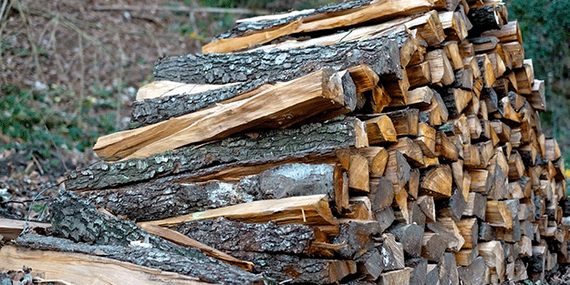 Enerji krizi tırmandı! Avrupa ülkesi halkına çağrıda bulundu: Odun toplayın