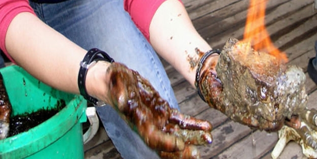 Enerjide büyük adım! Türkiye'yi uçuracak