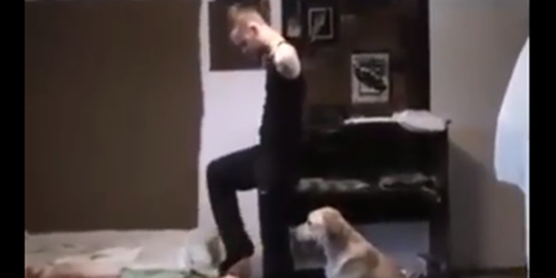 Engelli sahibine yardımcı olan köpek - VIDEO