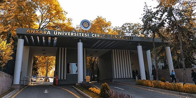 Engellilerin sorunları 