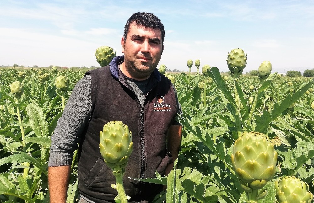 Enginarda kazanan aracı oldu; tarlada 1, pazarda 5 lira 