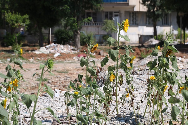 Enkaz altında kalan alandan ilginç manza