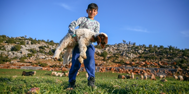 Enkaz altında kalan kuzularına günler sonra kavuştu