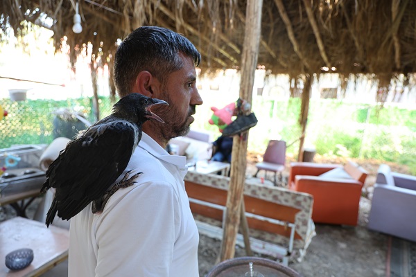 Enkaz kentin maskotu yavru karga