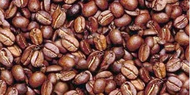 Enterasan zeka soruları