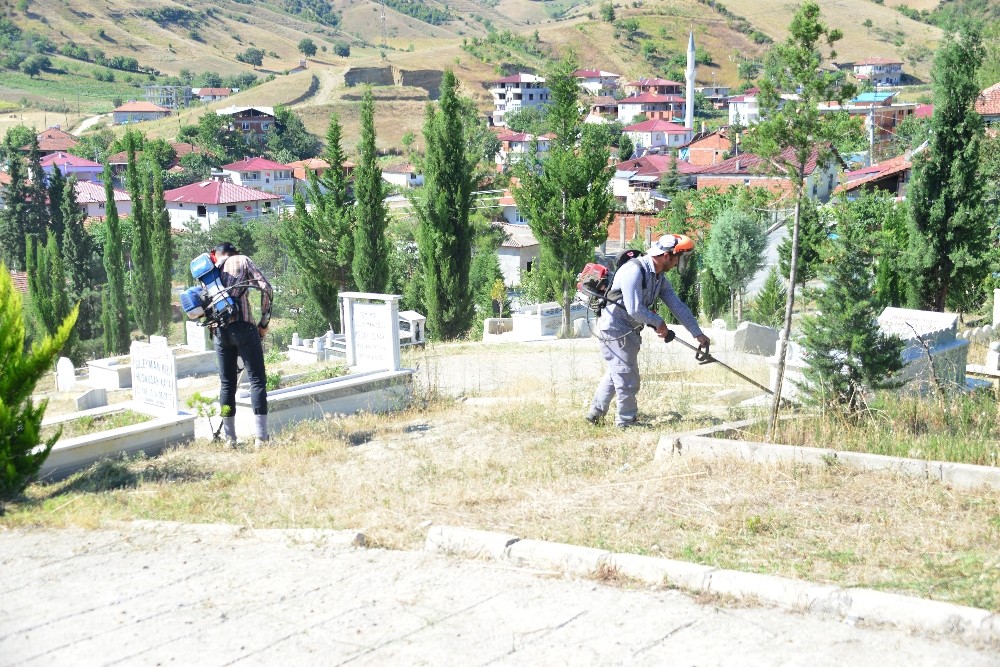 Erbaa’da Kurban Bayramı hazırlıkları 