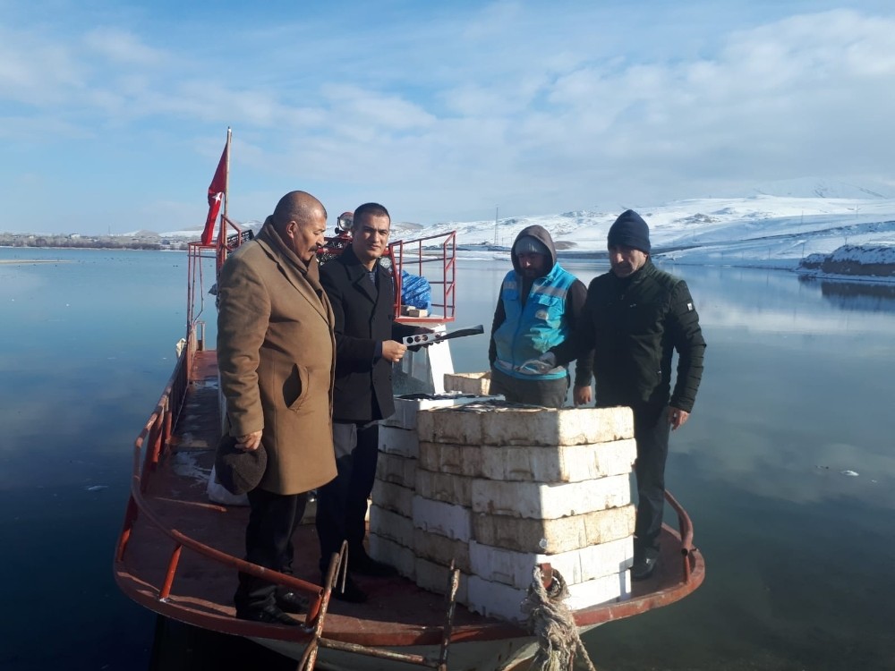 Erçek Gölü’ndeki balıklara boy denetimi 