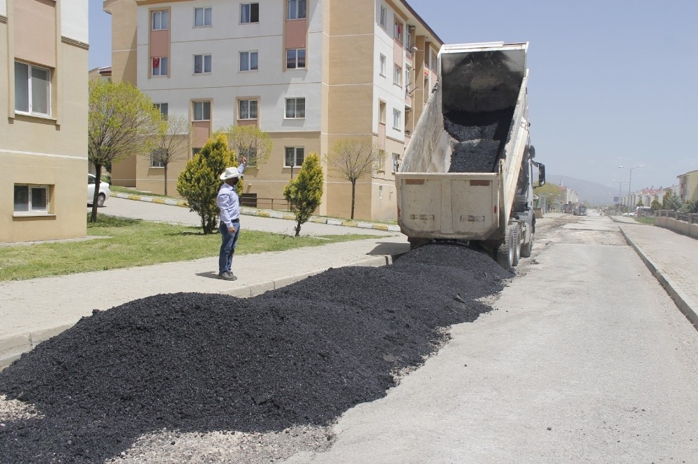 Erciş Belediyesi sokağa çıkma kısıtlamasını fırsata çevirdi 