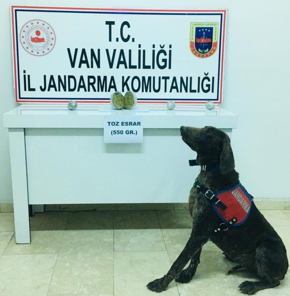 Erciş’te 600 gram toz esrar ele geçirildi 