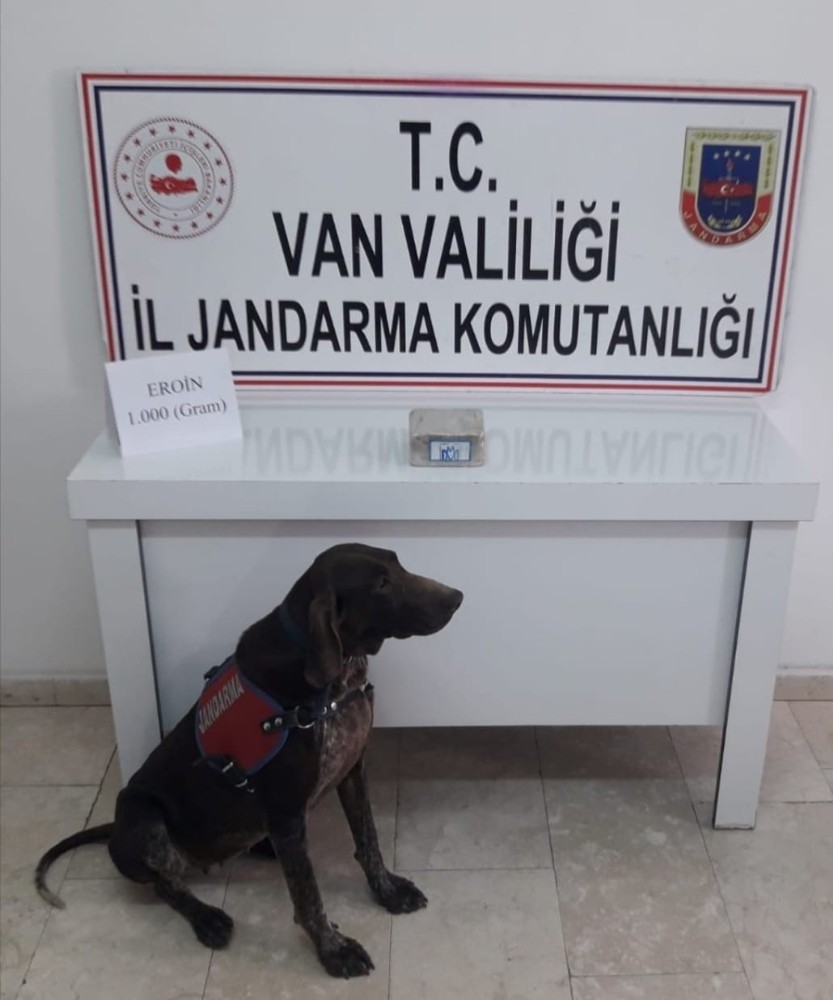 Erciş’te toprağa gömülü eroini Rasif buldu 