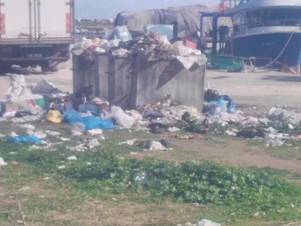 Erdek’te çöpler toplanmıyor, sokaklar kokmaya başladı 