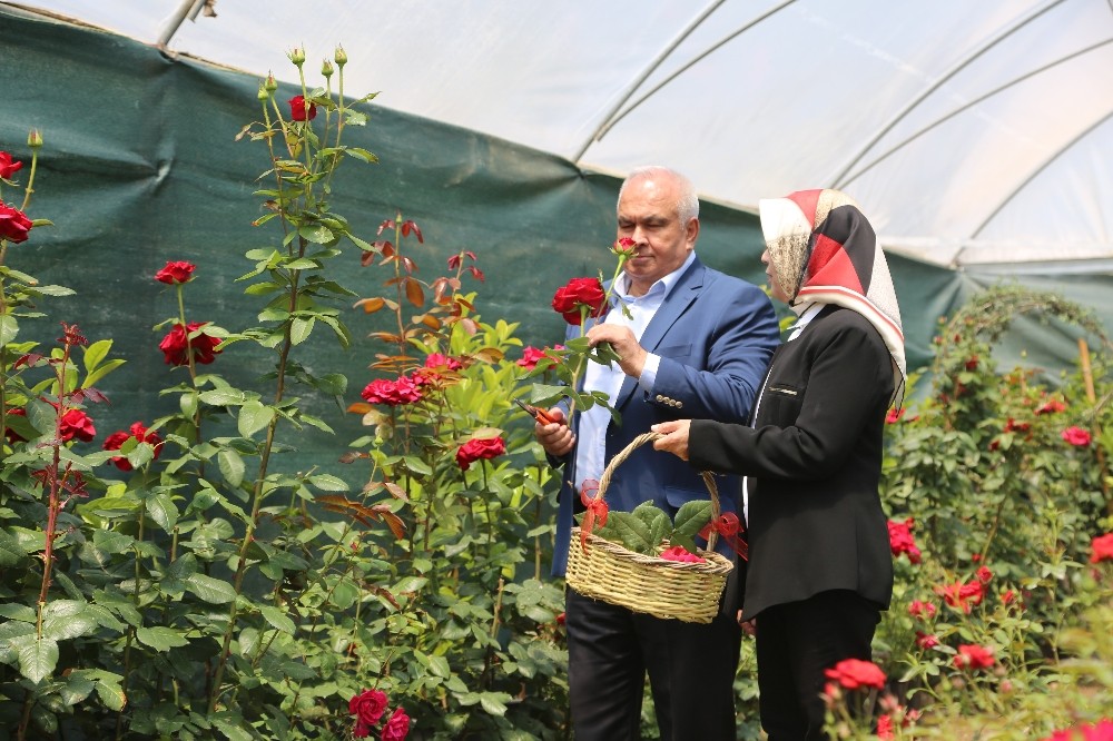 Erdemli’de annelere sepet dolusu gül 