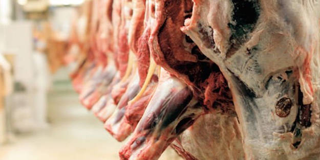 Erdoğan anlaştı! Tam 5 bin 700 ton...