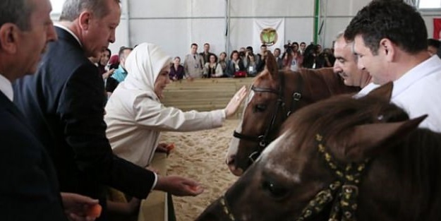 Erdoğan atlara havuç yedirdi