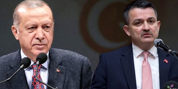 Erdoğan destek vermişti! Ağaç Dikme Bayramı için harekete geçildi!