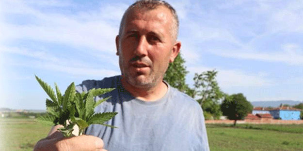 Erdoğan gündeme getirmişti! Talep artınca ekim alanı iki katına çıktı