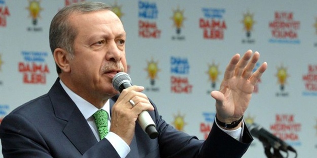 Başbakan Erdoğan ilk kez rakam verdi: 134 yavru kaçırıldı