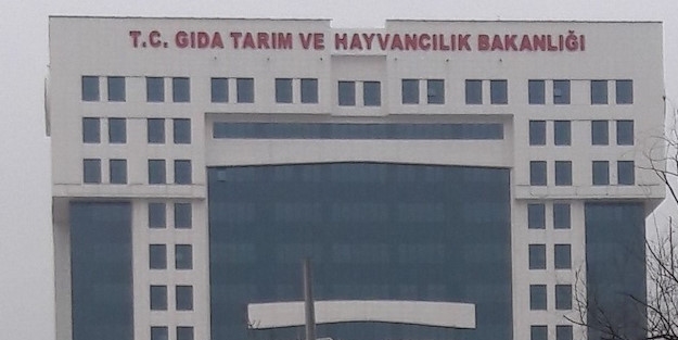 Erdoğan imzaladı! 6 isim görevden alındı