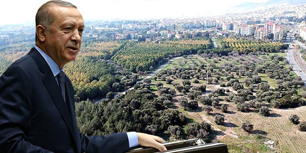 Erdoğan talimat verdi! Paha biçilemeyen arazinin akıbeti belli oldu