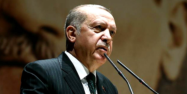 Erdoğan: Tarihi adımı destekliyorum!