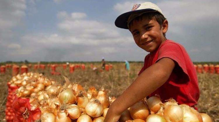 Erdoğan uyarmıştı! Bakanlık harekete geçti