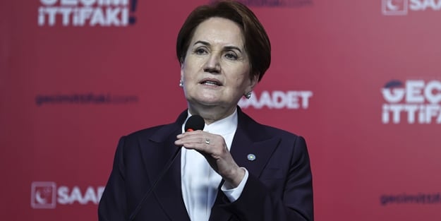 Erdoğan'a aslan kesilen Akşener HDP'yi duyunca cıvıklaştı