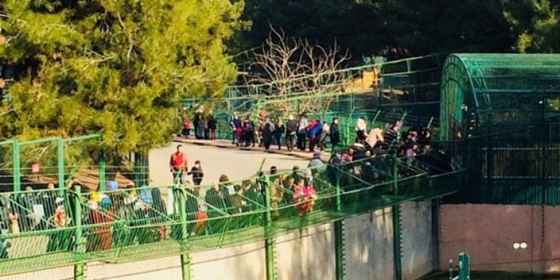 Erdoğan'a hediye edilmişti...Rekor kırdı