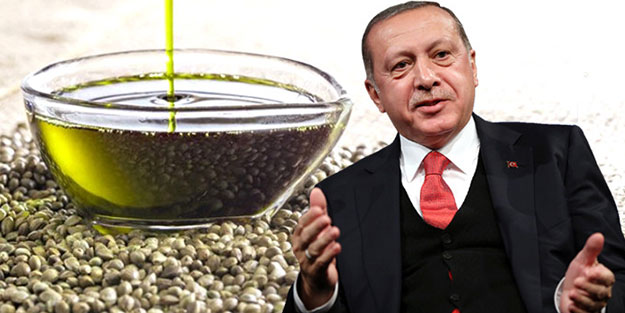Erdoğan'dan 19 ili uçuracak müjde!
