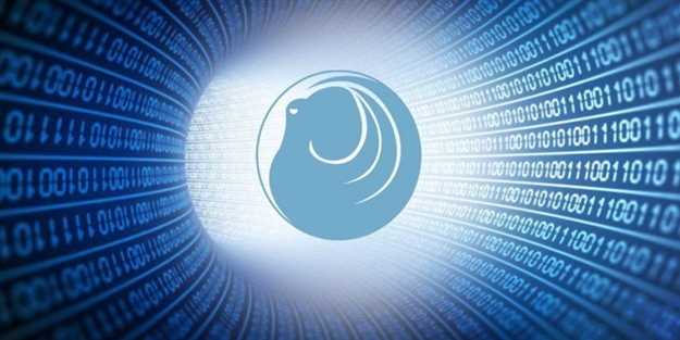 Milli Siber Kalkan Ahtapot Yazılımı nedir?