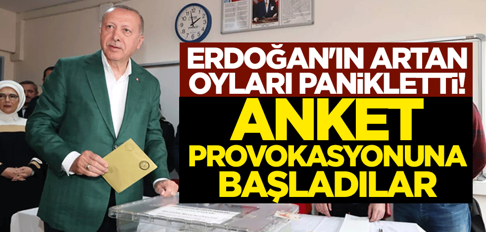 Erdoğan'ın artan oyları panikletti! Anket provokasyonuna başladılar