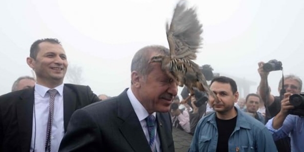 Erdoğan'ın başına keklik kondu