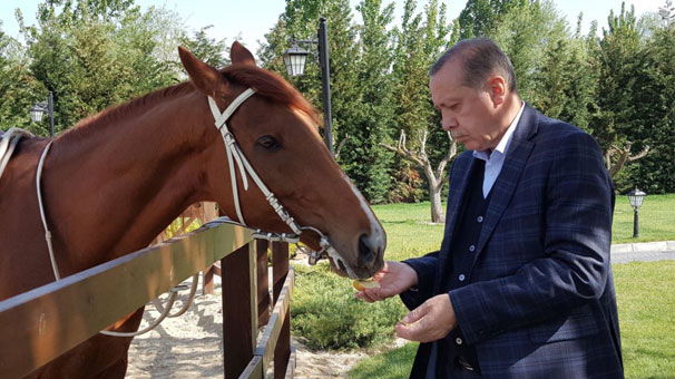 Başdanışmanı paylaştı! Cumhurbaşkanı Erdoğan...