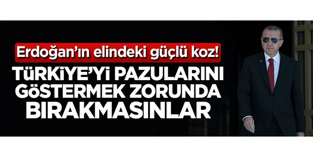 Erdoğan’ın elindeki güçlü koz! Türkiye’yi pazularını göstermek zorunda bırakmasınlar