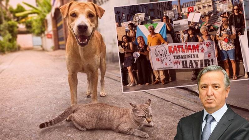 Erdoğan'ın eski metin yazarı Aydın Ünal, AK Parti'yi uyardı: O mesele artık bir teste dönüştü, grubu sıkı tutun