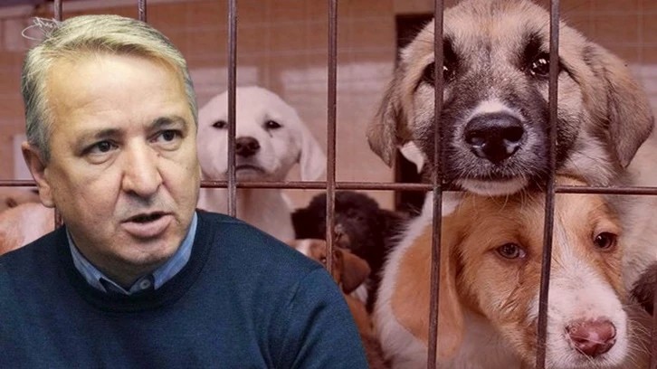 Erdoğan'ın eski metin yazarı Aydın Ünal: Eğer çıkacak yasa köpek terörünü kökten çözmezse, toplum buna girişecek