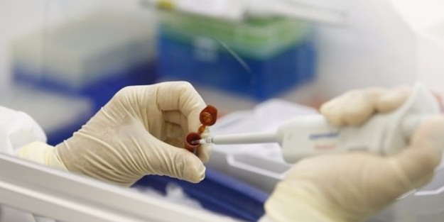 'Domuz gribinin gripten farkı yok'