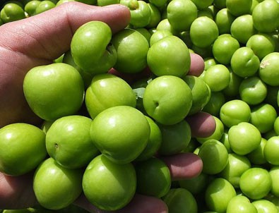 Eriğin fiyatı 30 liraya düştü