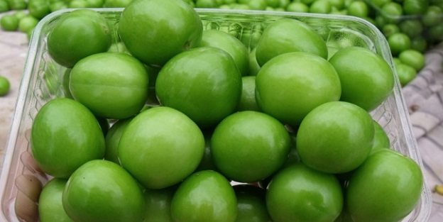 Eriğin kilogram fiyatı düştü