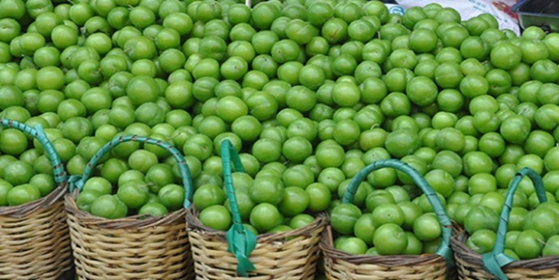 Eriğin sağlığımıza ne kadar faydalı olduğuna inanamayacaksınız!