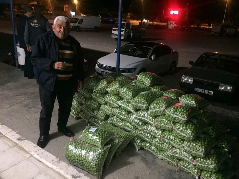 Erik altın yılını yaşıyor 