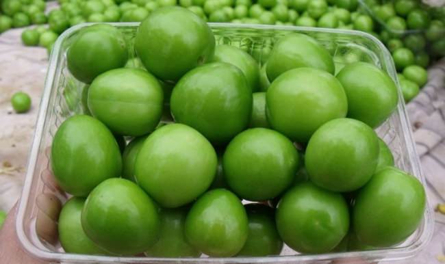 Erik altınla yarışıyor! 100 Gramı 30 lira