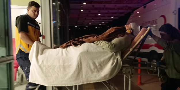 Erik toplamak için çıktığı duvardan yere düştü