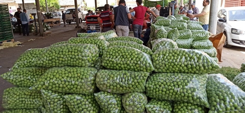 Erikte rekolte düşüklüğü 